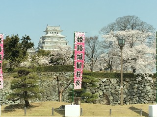 S__39977050.jpg